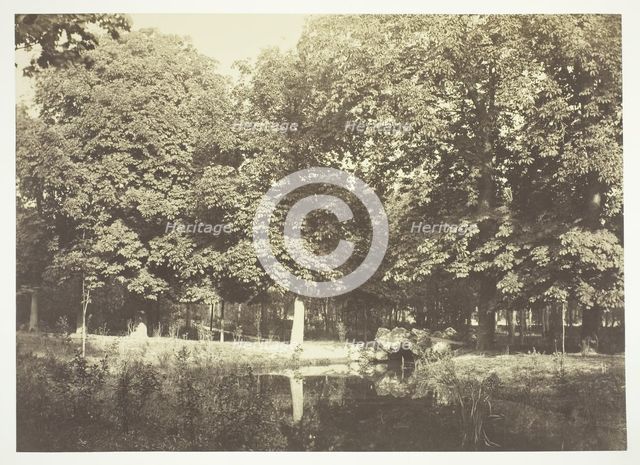 Untitled, c. 1850. [Trees near water in the Bois de Boulogne, a park in Paris].  Creator: Charles Marville.