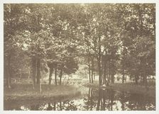 Untitled, c. 1850. [Trees near water in the Bois de Boulogne, a park in Paris]. Creator: Charles Marville