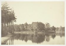 Untitled, c. 1850. [Trees near water in the Bois de Boulogne, a park in Paris]. Creator: Charles Marville