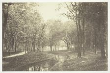 Untitled, c. 1850. [Trees near water in the Bois de Boulogne, a park in Paris]. Creator: Charles Marville