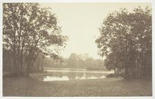 Untitled, c. 1850. [Trees near water in the Bois de Boulogne, a park in Paris]. Creator: Charles Marville