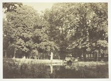 Untitled, c. 1850. [Trees near water in the Bois de Boulogne, a park in Paris]. Creator: Charles Marville
