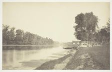 Untitled, c. 1850. [Trees near water in the Bois de Boulogne, a park in Paris]. Creator: Charles Marville