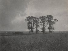Untitled, c. 1900. Creator: William J. Mullins (American, 1860-1917)
