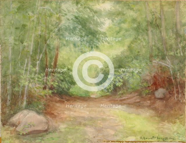 Untitled (Forest Scene), 1902. Creator: Robert Bruce McDougall.