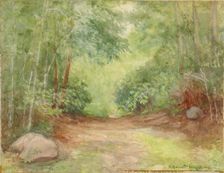Untitled (Forest Scene), 1902. Creator: Robert Bruce McDougall