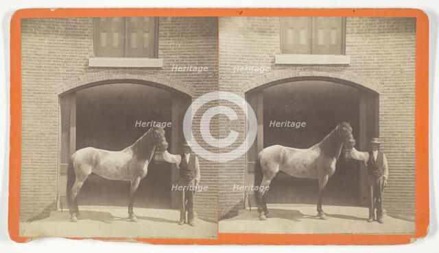 Untitled, [horse and groom], 1875/99.  Creator: Unknown.