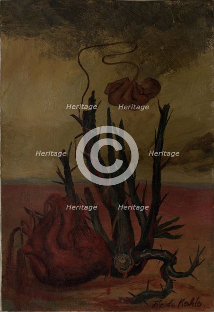 Untitled (Heart, Cactus, Fetus) . Creator: Kahlo, Frida (1907-1954).