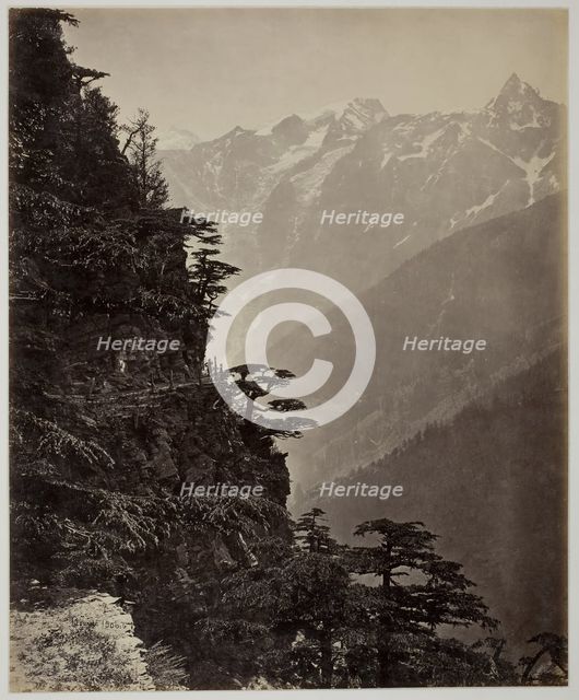 Untitled [hillside and mountains], c. 1865. Creator: Samuel Bourne.