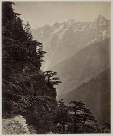 Untitled [hillside and mountains], c. 1865. Creator: Samuel Bourne