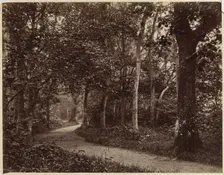 Untitled (Landscape), early 1860s. Creator: Unidentified Photographer