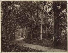 Untitled (Landscape), early 1860s. Creator: Unidentified Photographer