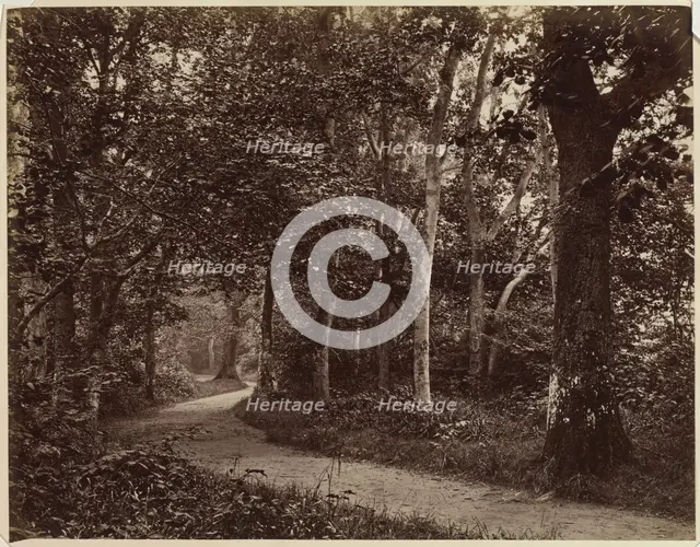 Untitled (Landscape), early 1860s. Creator: Unidentified Photographer.