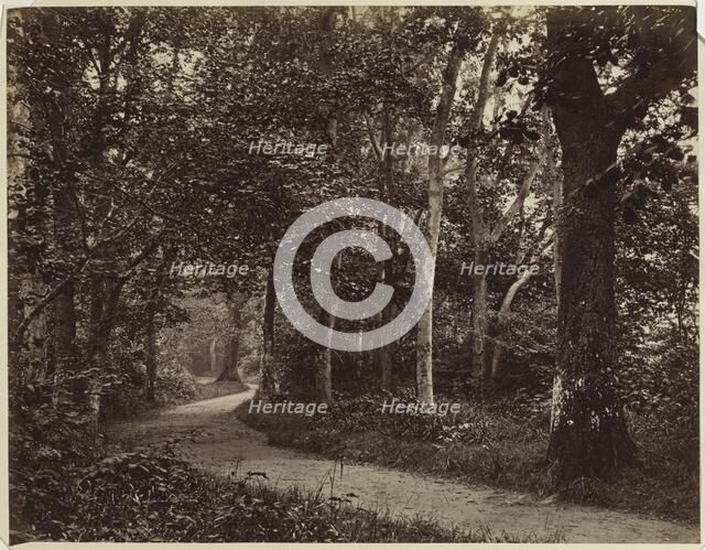 Untitled (Landscape), early 1860s. Creator: Unidentified Photographer.