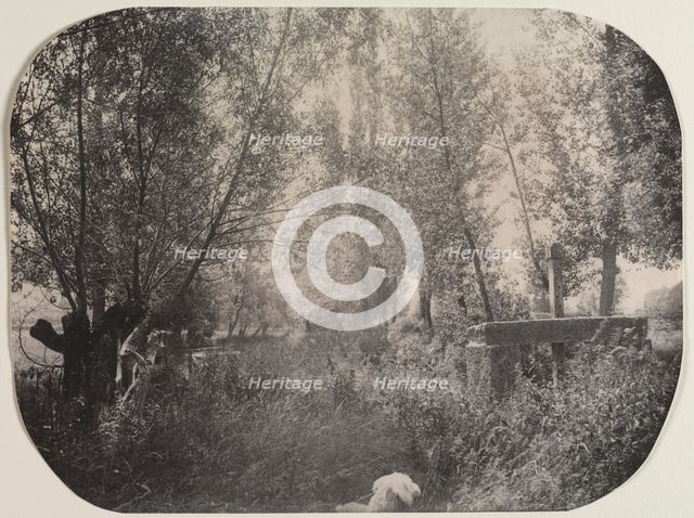 Untitled (Landscape with Dog), c. 1910. Creator: Unidentified Photographer.