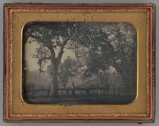 Untitled (Man Leaning Against a Fence in Front of a Cemetery), 1851. Creator: Unknown