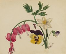 (Untitled--Mixed Flowers), 1876. Creator: Mary Vaux Walcott