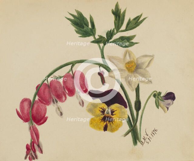 (Untitled--Mixed Flowers), 1876. Creator: Mary Vaux Walcott.