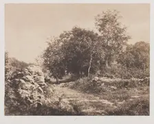 Untitled (Scene of Fontainbleau), c. 1853. Creator: André Giroux (French, 1801-1879)