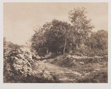 Untitled (Scene of Fontainbleau), c. 1853. Creator: André Giroux (French, 1801-1879)