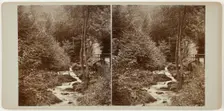 Untitled (Schweizerlat, St. Goarshausen), 1860s. Creator: Unknown
