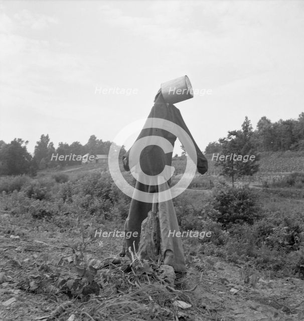 Untitled, possibly realted to: Scarecrow on a newly cleared..., near Roxboro, North Carolina, 1939. Creator: Dorothea Lange.