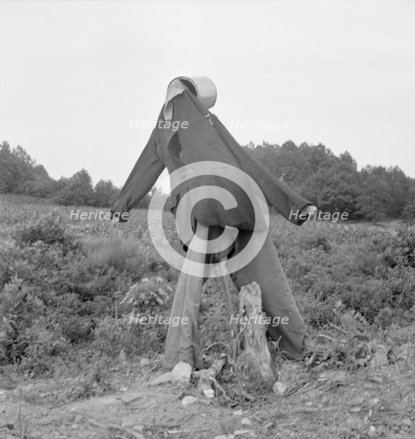 Untitled, possibly realted to: Scarecrow on a newly cleared..., near Roxboro, North Carolina, 1939. Creator: Dorothea Lange.