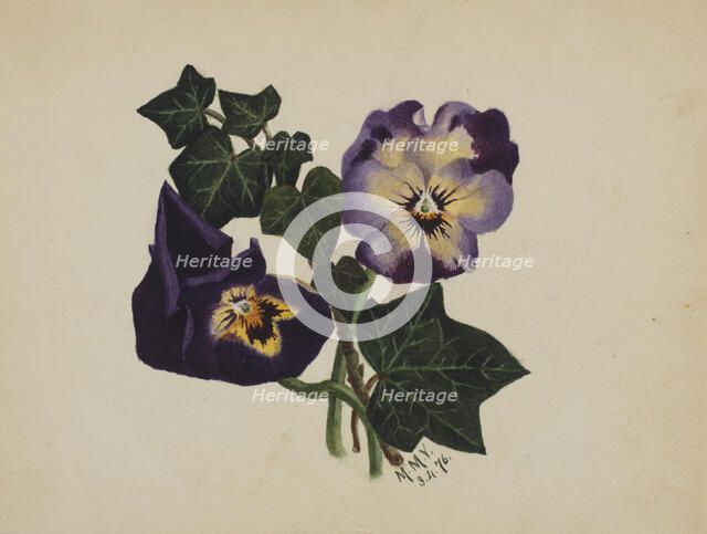 Untitled (Pansies and Ivy), 1876. Creator: Mary Vaux Walcott.