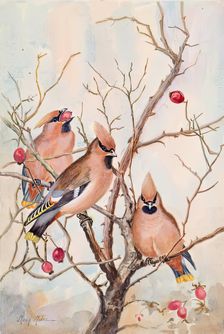 Untitled - rosehips, c1908. Creator: Mary Milne