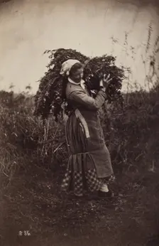Untitled (Woman Carrying Sticks), c1870s. Creator: Giraudon's Artist