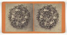 Untitled [wreath of roses with portrait photograph], 1879. Creator: Frank Lawrence