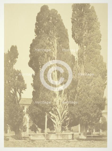 Untitled (Trees in Rome), c. 1857. Creator: Robert MacPherson.