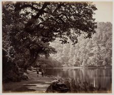 Untitled [trees near water, India], 1870s. Creator: Samuel Bourne