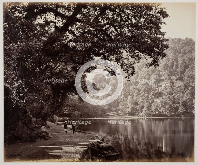 Untitled [trees near water, India], 1870s.  Creator: Samuel Bourne.