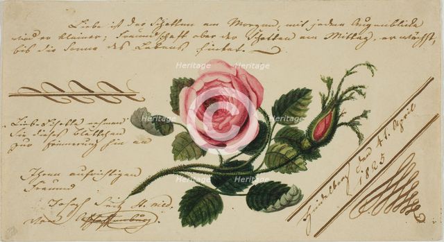 Untitled Valentine (Pink Flower), 1825. Creator: Unknown.