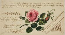 Untitled Valentine (Pink Flower), 1825. Creator: Unknown
