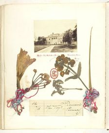 Untitled [view of Broadlands with dried flowers], 1868. Creator: Georgina Cowper