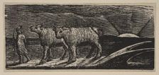 Unyok'd Heifers, Loitering Homeward, from Thornton's Pastorals of Virgil, 1821. Creator: William Blake