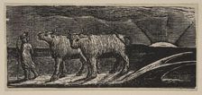 Unyok'd Heifers, Loitering Homeward, from Thornton's Pastorals of Virgil, 1821. Creator: William Blake