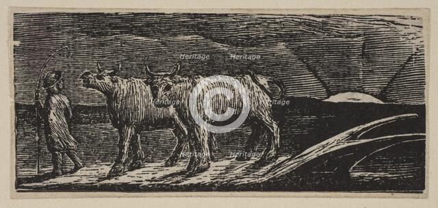Unyok'd Heifers, Loitering Homeward, from Thornton's Pastorals of Virgil, 1821. Creator: William Blake.