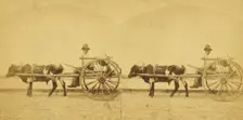 Uncle Lem, [Man in an oxcart], (1868-1900?). Creator: O. Pierre Havens