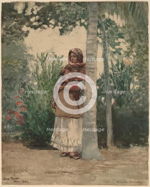 Under a Palm Tree, 1886. Creator: Winslow Homer.