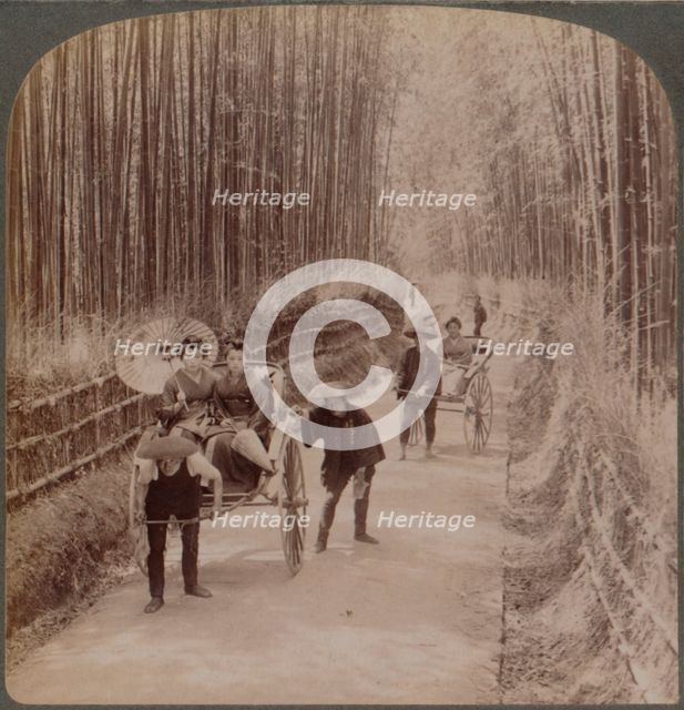 Under the bamboo trees - on the famous avenue near Kiyomizu, Kyoto, Japan, 1904. Artist: Unknown.