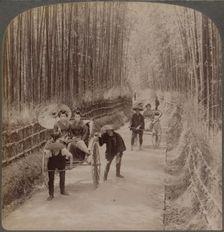 Under the bamboo trees - on the famous avenue near Kiyomizu, Kyoto, Japan, 1904