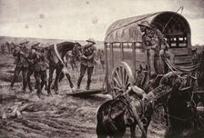 Under the Blue Cross: Wounded Horses Being Conveyed to the Veterinary Hospital 1917. Creator: Unknown