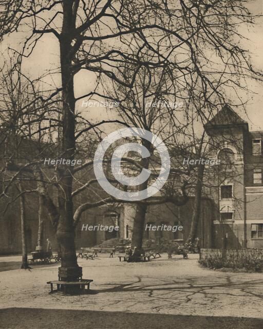 'Under the Elms in the Courtyard of Middlesex Hospital', c1935. Creator: Joel.