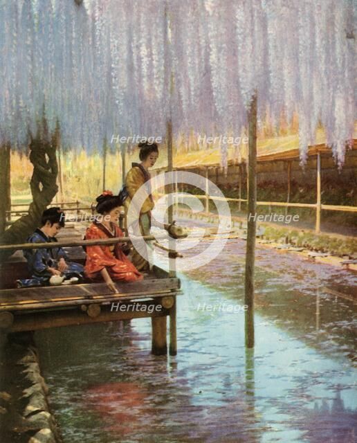 'Under the Purple Wistarias', 1910. Creator: Herbert Ponting.