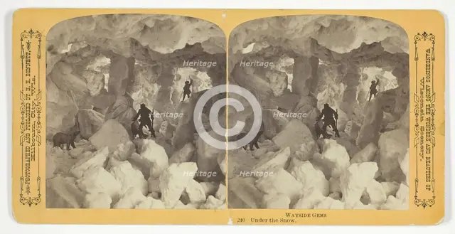 Under the Snow, 1870/89. Creator: Henry Hamilton Bennett.