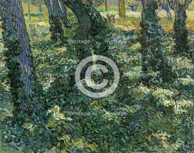 Undergrowth, 1889. Artist: Gogh, Vincent, van (1853-1890)