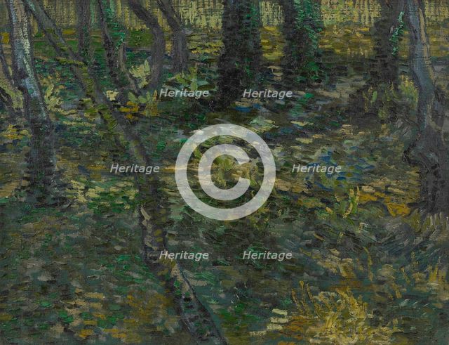 Undergrowth, 1889. Creator: Gogh, Vincent, van (1853-1890).